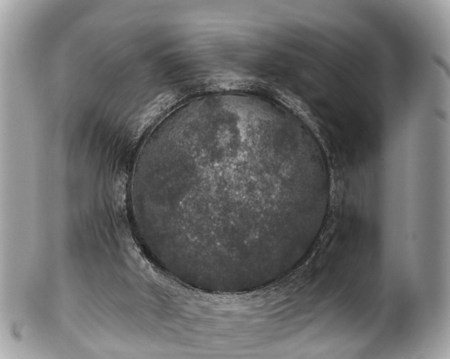 X0000102040010200807251424