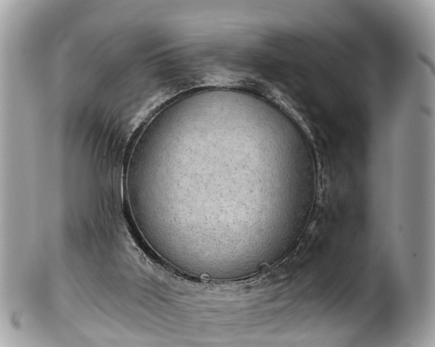 X0000102040011200807251424