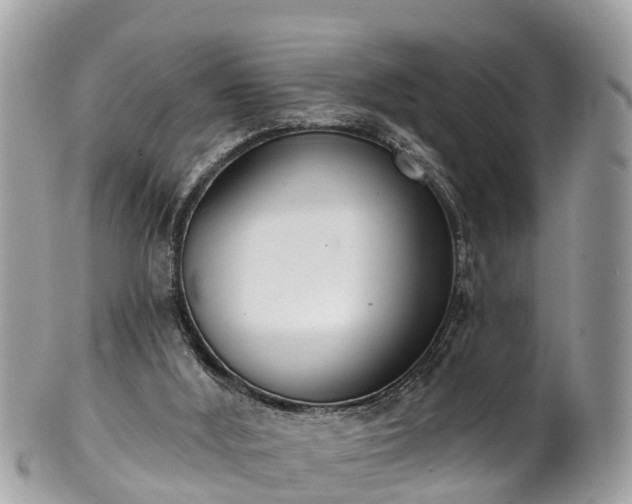 X0000102040012200807251424