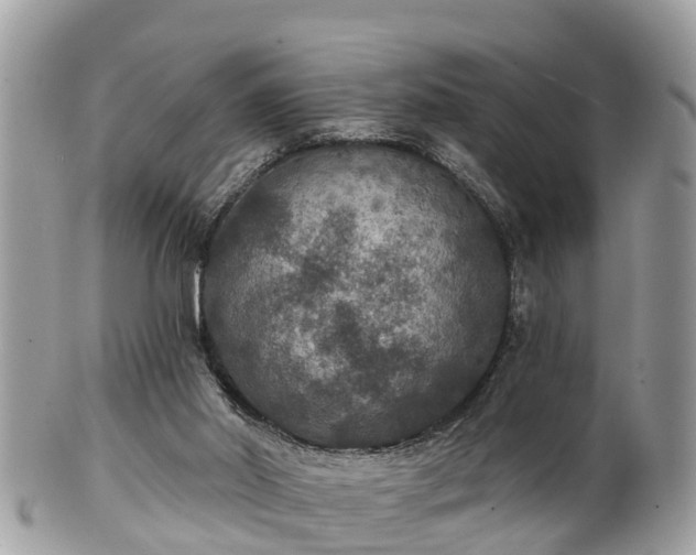 X0000102040014200807251424