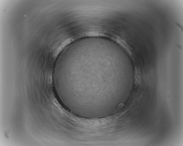 X0000102040015200807251424