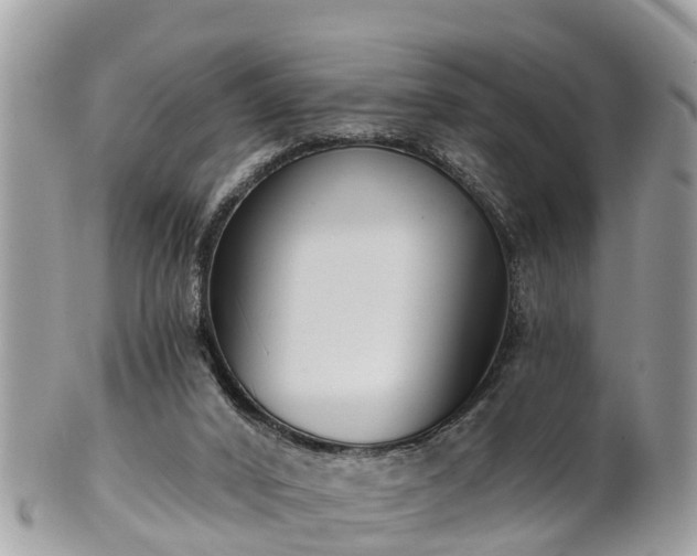 X0000102040016200807251424