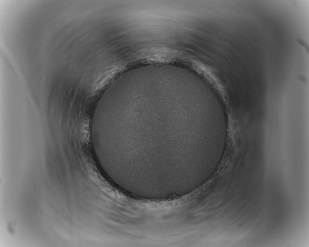 X0000102040017200807251424