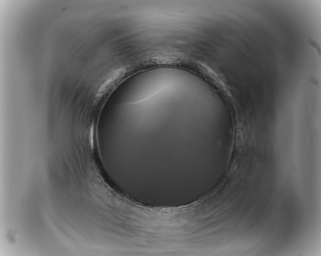 X0000102040019200807251424