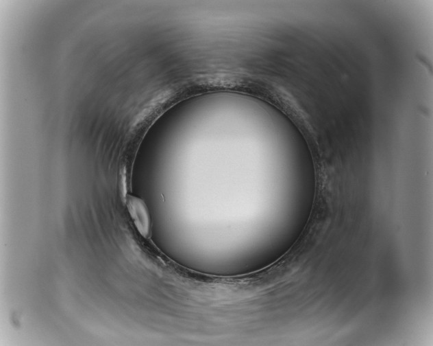 X0000102040020200807251424