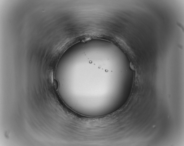 X0000102040021200807251424