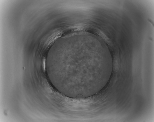 X0000102040022200807251424