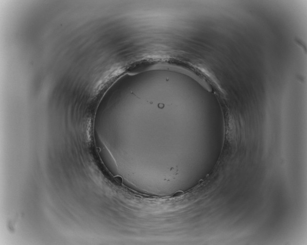 X0000102040023200807251424