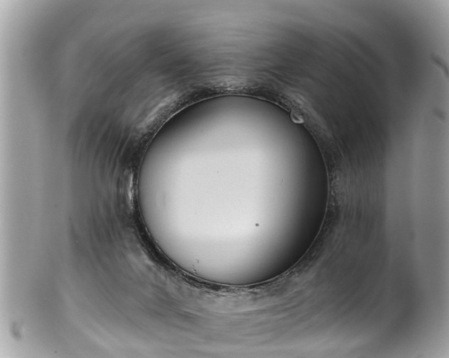 X0000102040024200807251424