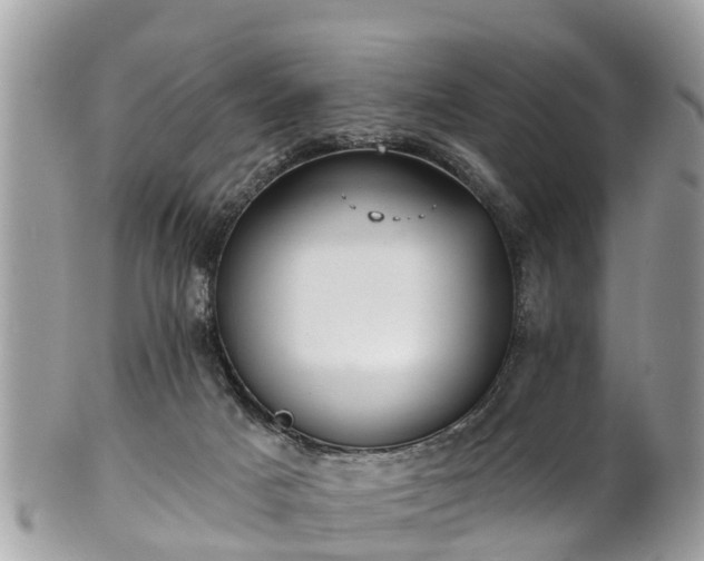 X0000102040025200807251424