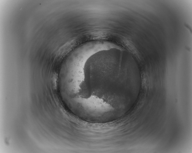 X0000102040026200807251424