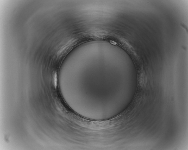 X0000102040027200807251424