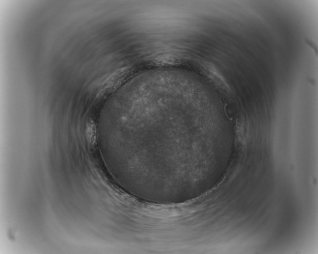 X0000102040029200807251424