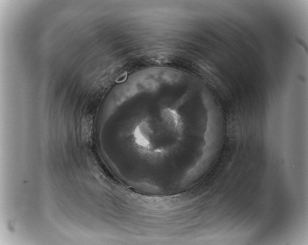 X0000102040030200807251424