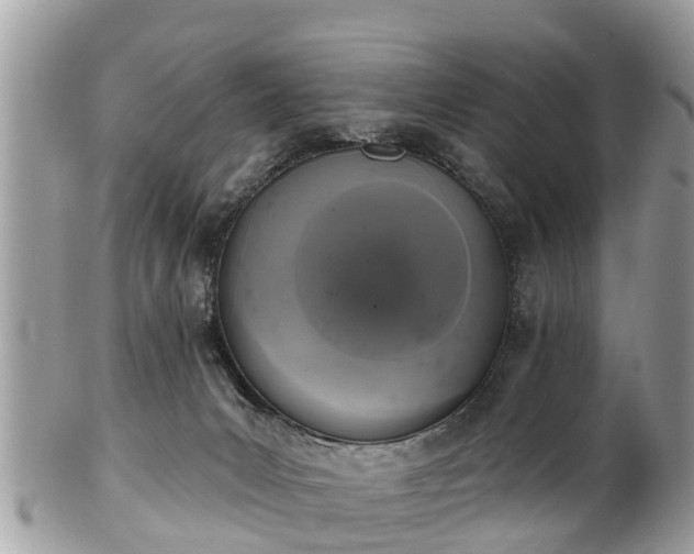 X0000102040031200807251424