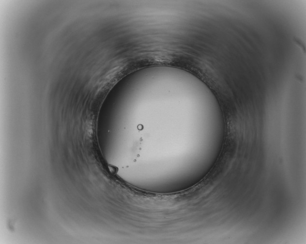 X0000102040032200807251424