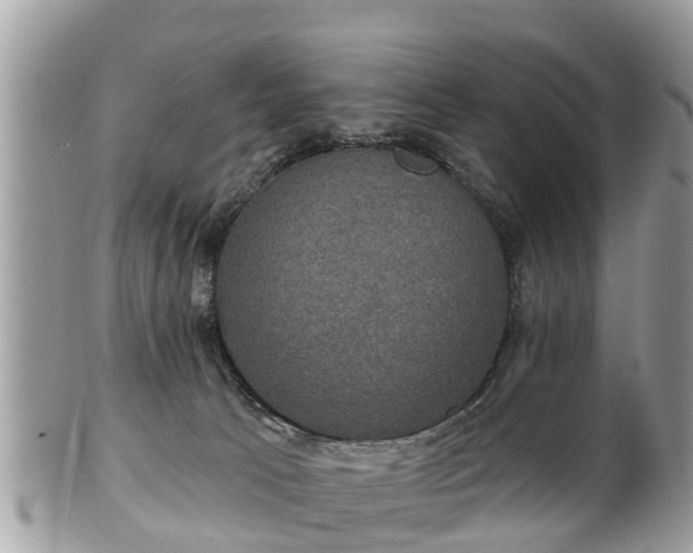 X0000102040033200807251424