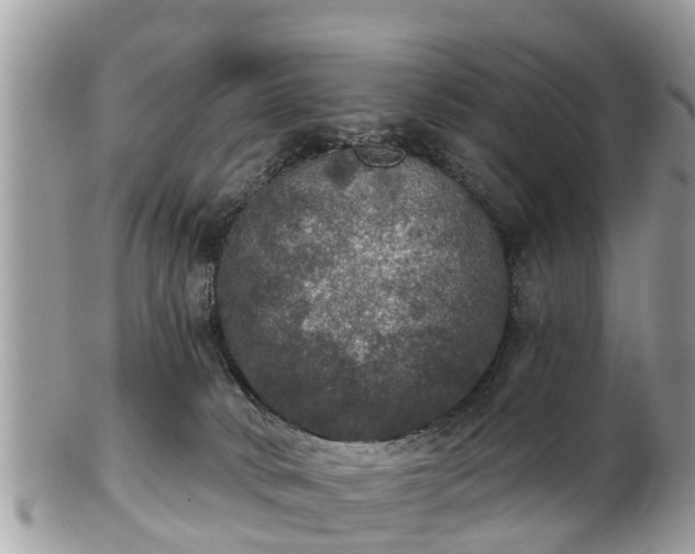 X0000102040034200807251424