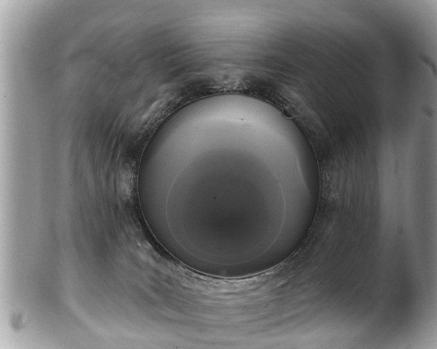 X0000102040035200807251424