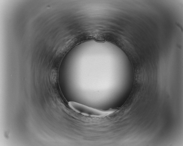 X0000102040036200807251424