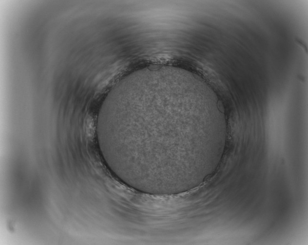 X0000102040037200807251424