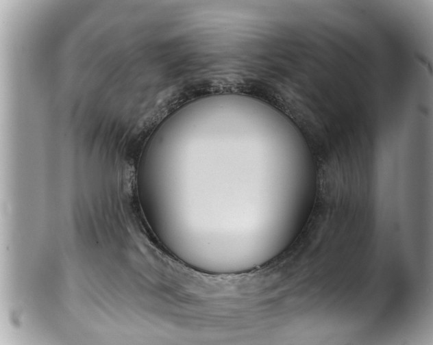 X0000102040038200807251424