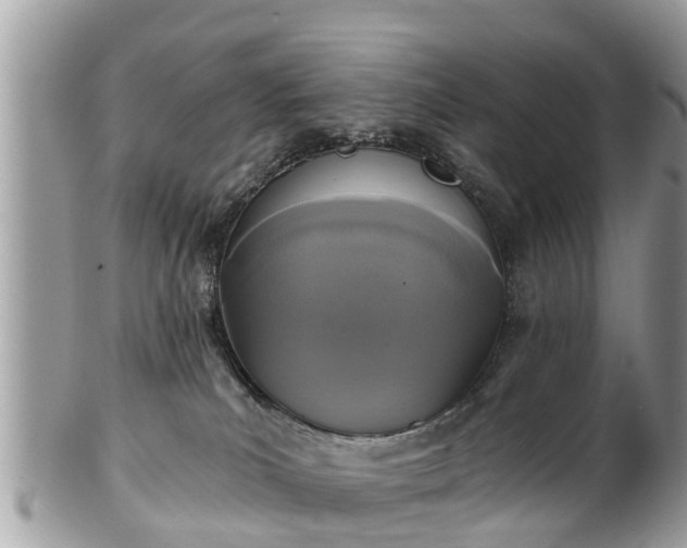 X0000102040039200807251424