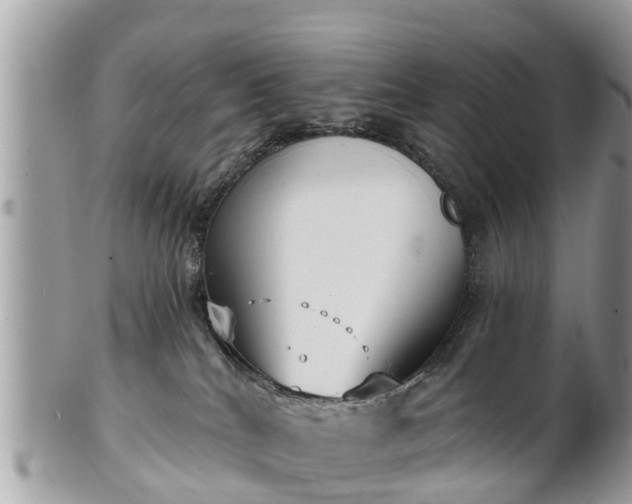 X0000102040040200807251424