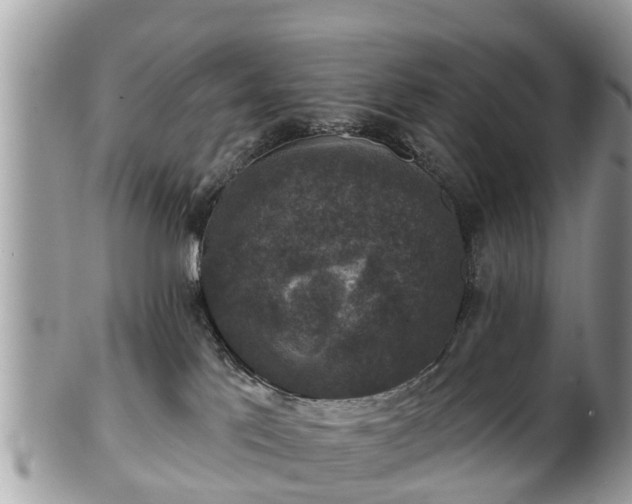 X0000102040041200807251424