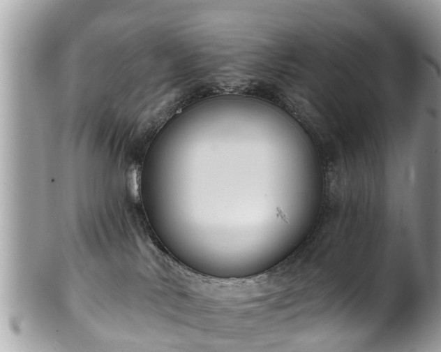 X0000102040042200807251424