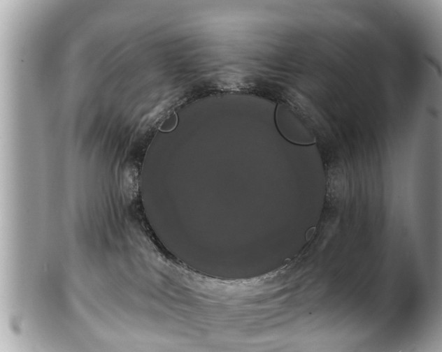 X0000102040043200807251424