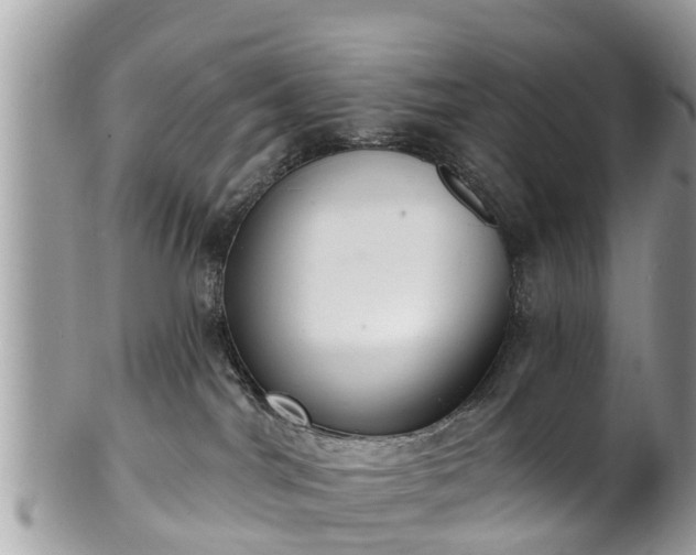 X0000102040044200807251424