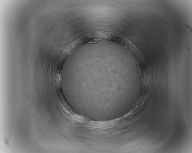 X0000102040045200807251424