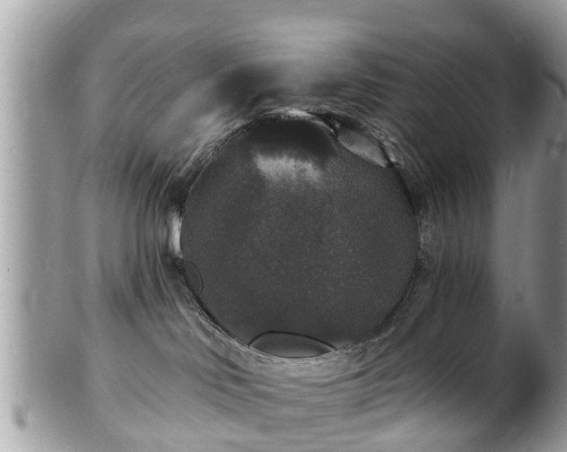 X0000102040046200807251424