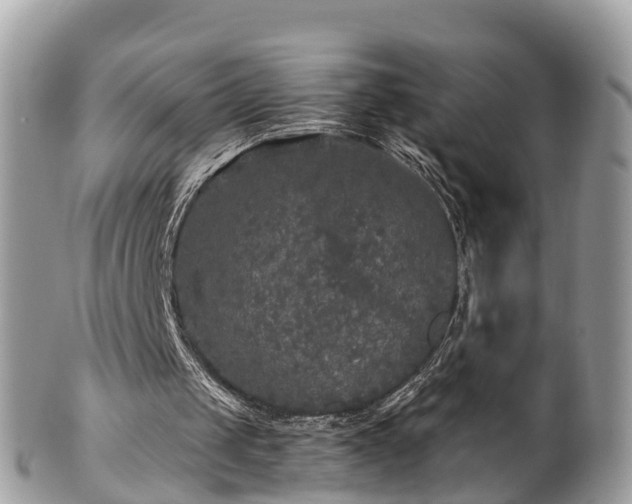 X0000102040049200807251423