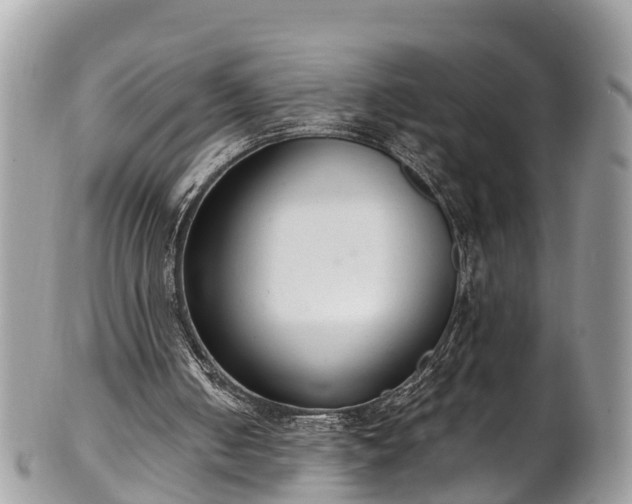 X0000102040050200807251423