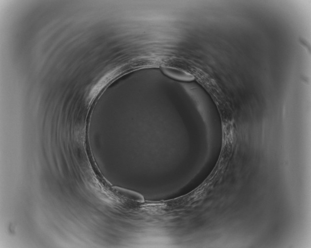 X0000102040051200807251423