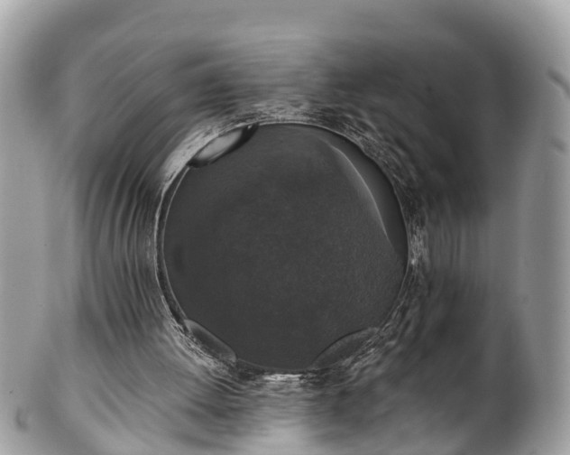 X0000102040052200807251423