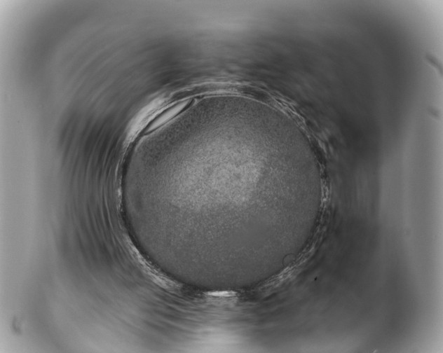 X0000102040053200807251423