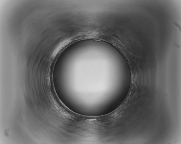 X0000102040054200807251423