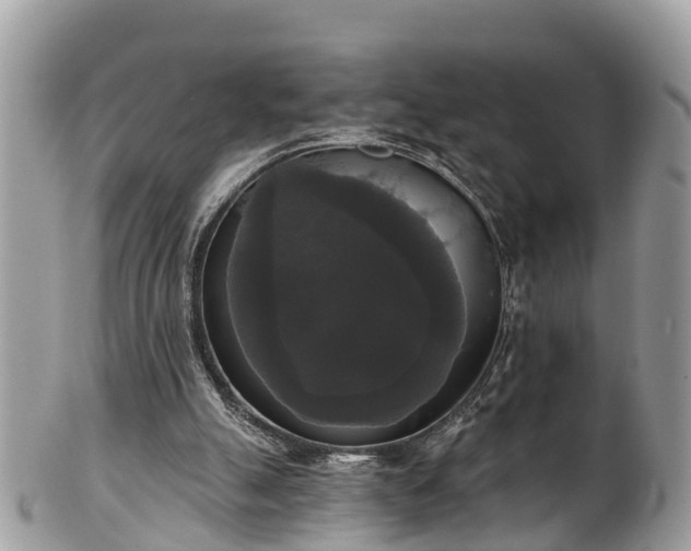 X0000102040055200807251423