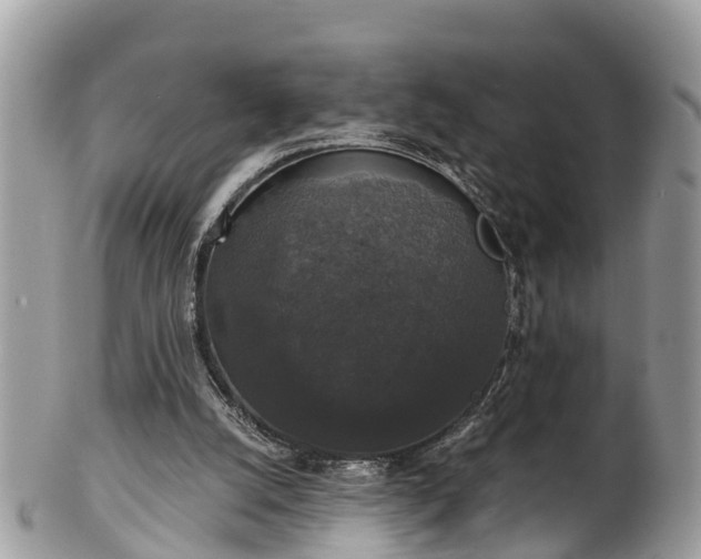 X0000102040056200807251423