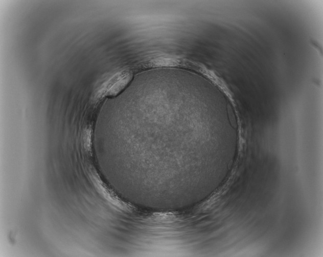 X0000102040057200807251423