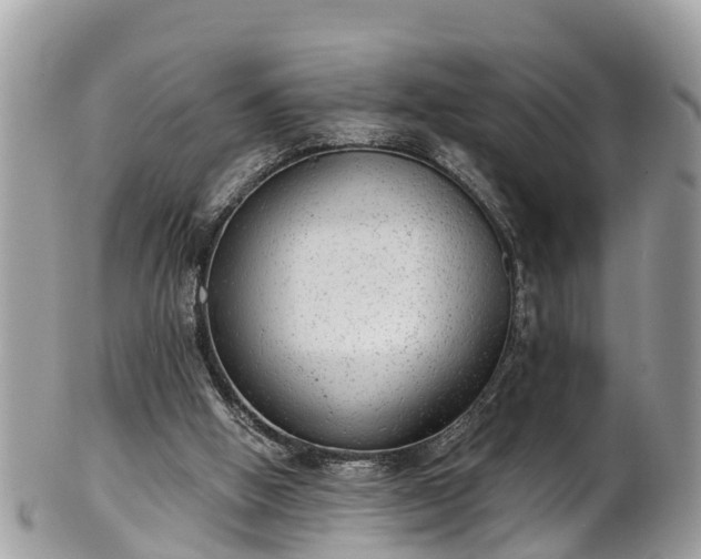 X0000102040058200807251423