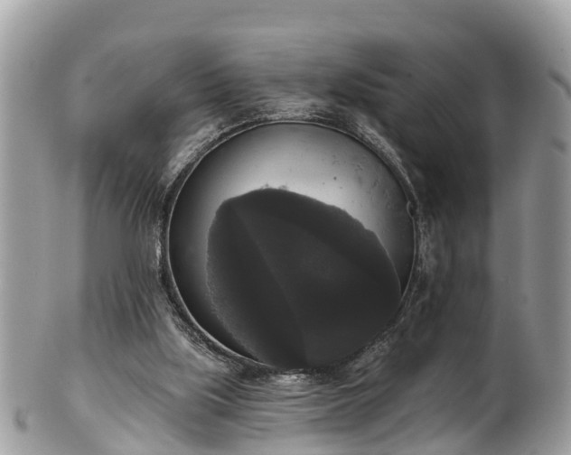 X0000102040059200807251423