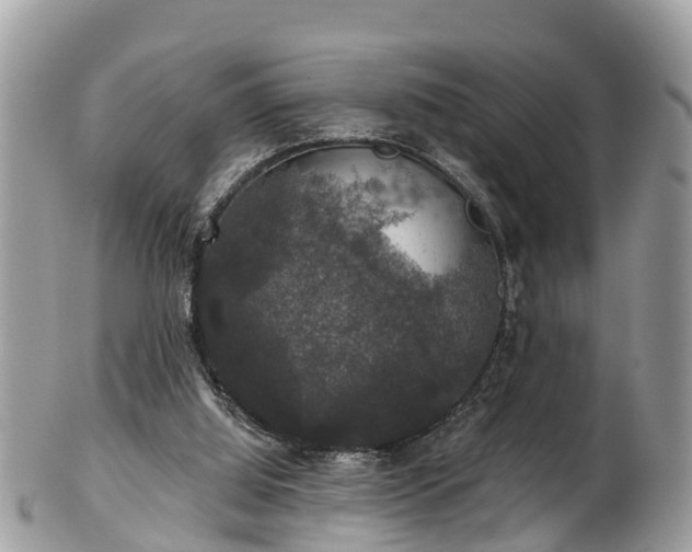 X0000102040060200807251423