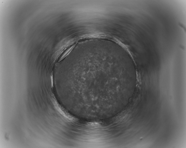 X0000102040061200807251423