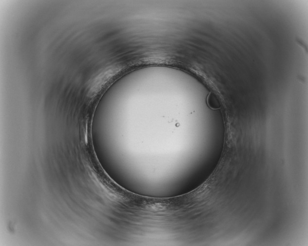 X0000102040062200807251423