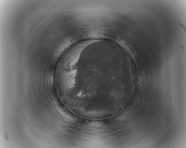 X0000102040063200807251423