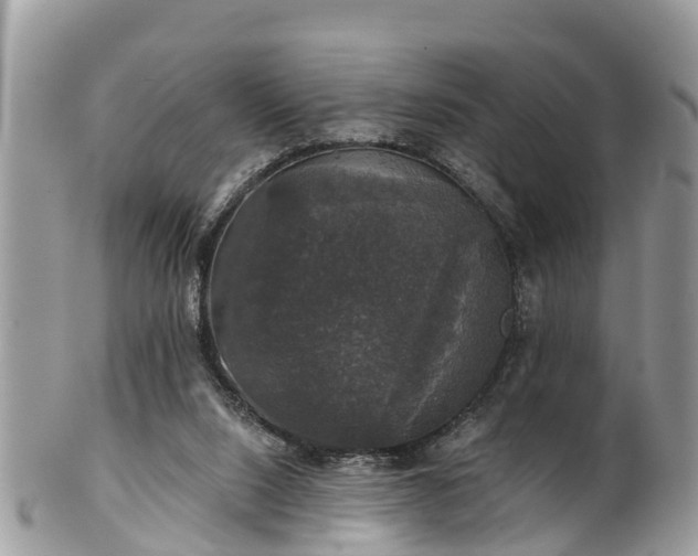 X0000102040064200807251423